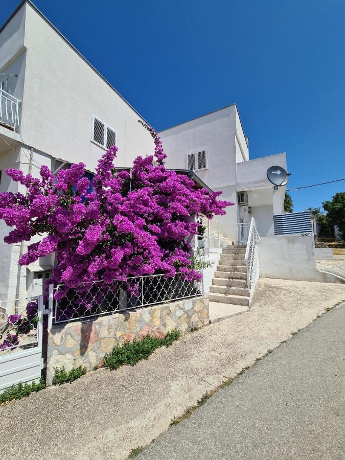 Maslenica-Bougainvillea Zewnętrze zdjęcie