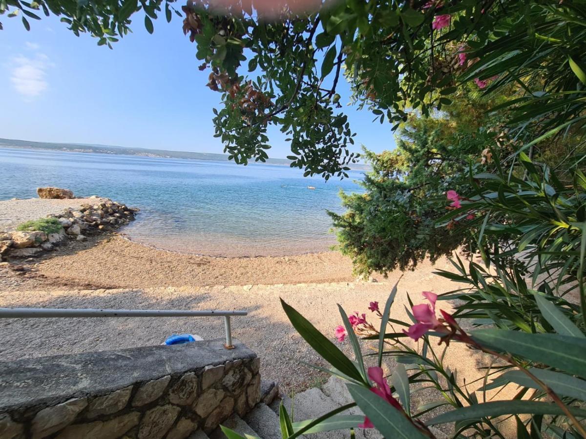 Maslenica-Bougainvillea Zewnętrze zdjęcie